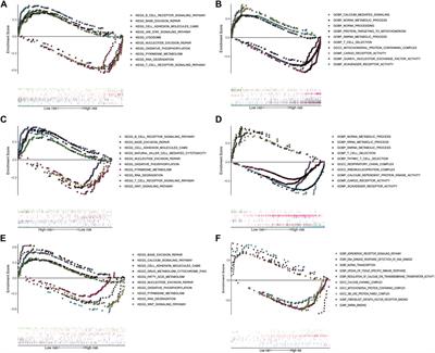 A Novel Inflammatory-Related Gene Signature Based Model for Risk Stratification and Prognosis Prediction in Lung Adenocarcinoma